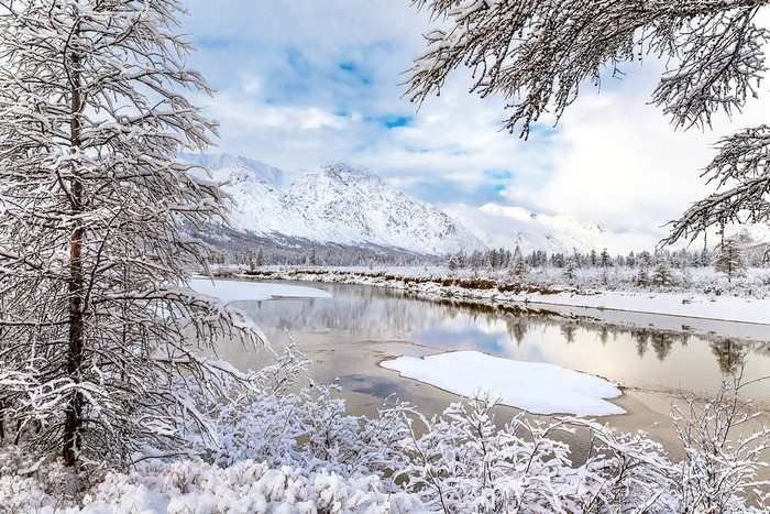 Snow-covered trees and river with mountains in the background