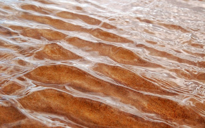 Ripples on sandy seabed