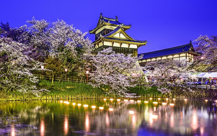 Japanese castle with cherry blossoms and water reflection