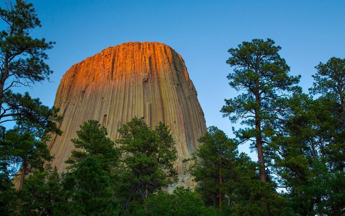 Devils Tower National Monument at sunset with pine trees