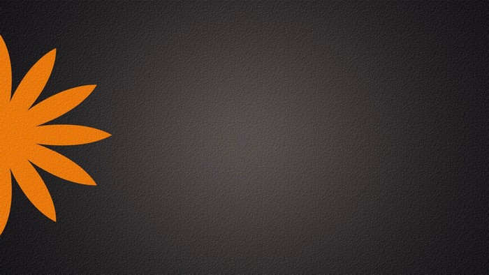 Orange flower petals on a textured dark background