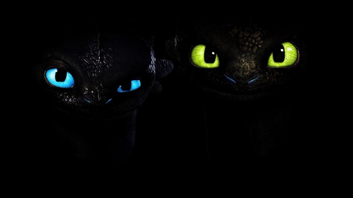 Toothless and the Light Fury from How to Train Your Dragon