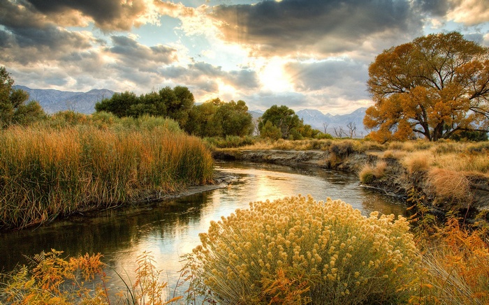 River flowing through a meadow with mountains in the background