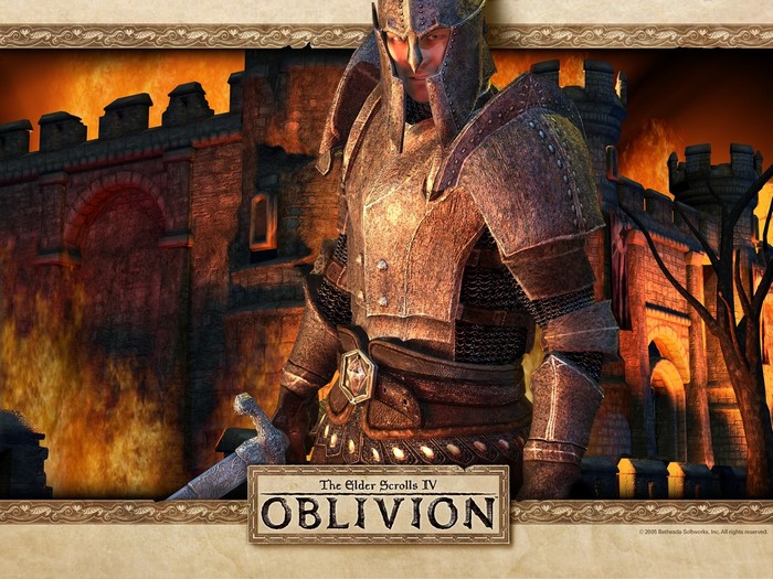 The Elder Scrolls IV Oblivion Knight in Armor