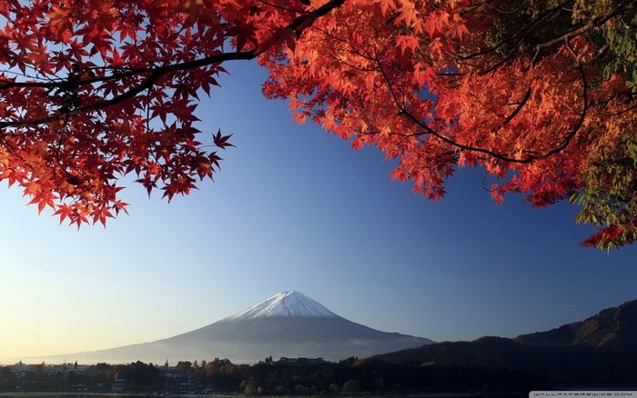 Mount Fuji with autumn maple leaves
