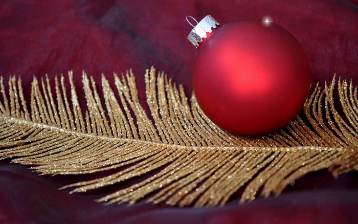 Red Christmas ornament on gold feather and burgundy fabric