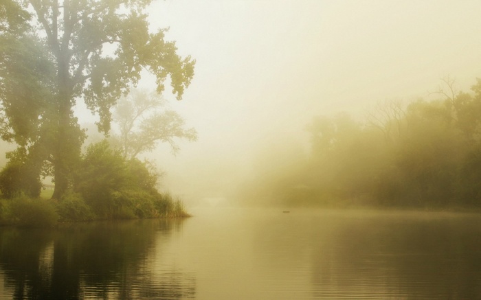 Misty lake with trees and a small boat