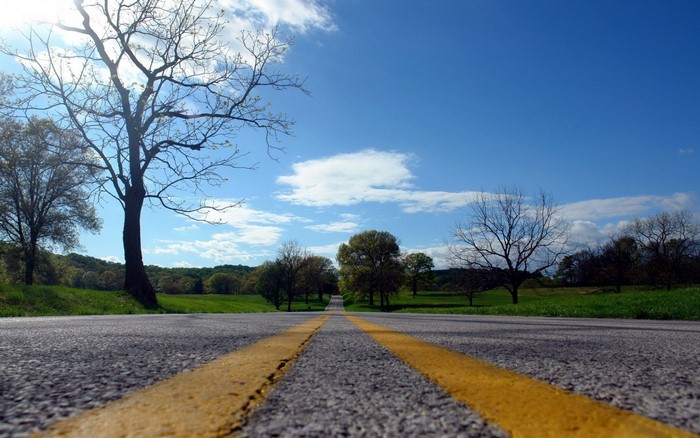 Road through a rural landscape with trees and blue sky