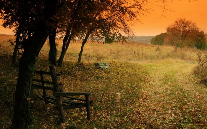 Autumn landscape with trees and a bench