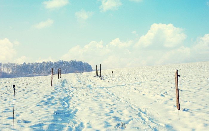 Snowy landscape with footprints and fence posts under a cloudy sky