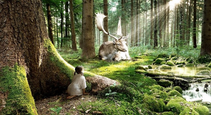 Girl and deer in a sunlit forest