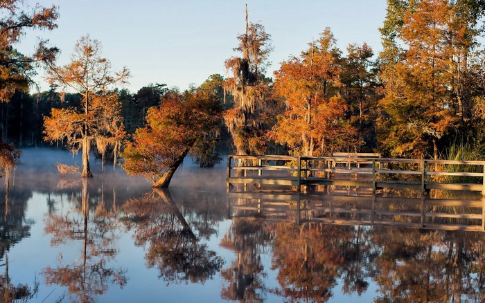 Autumn trees reflected in misty lake with wooden pier