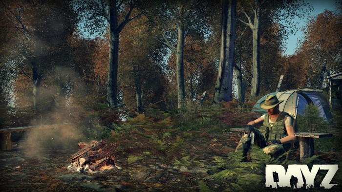DayZ screenshot of a person sitting by a campfire in autumn forest