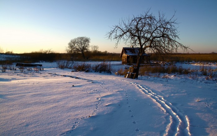 Winter landscape with a small wooden house and a bare tree