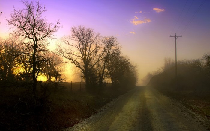 Rural road at sunrise with trees and fog