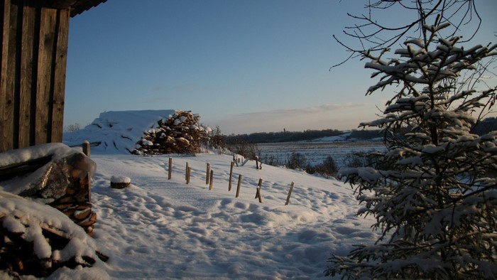 Winter landscape with snow-covered trees and a wooden structure