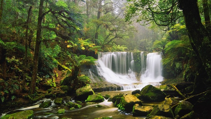 Waterfall in a lush green forest with mossy rocks