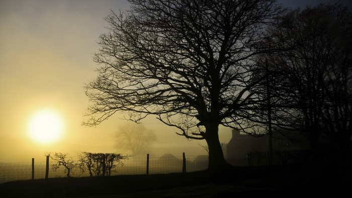 Sunrise over a misty landscape with silhouetted trees
