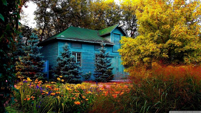 Cozy Blue Cottage Surrounded by Autumn Garden