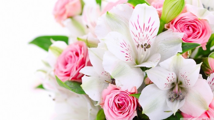 Pink roses and white alstroemeria flowers