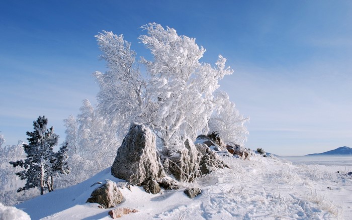 Snow-covered trees and rocks on a hill under a blue sky