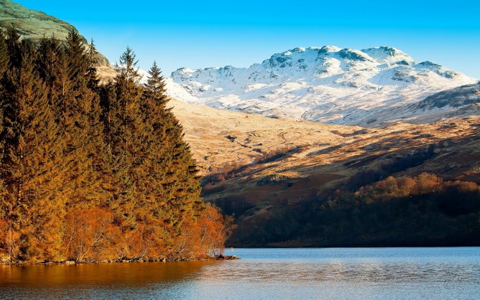 Lake and snow-capped mountains with pine forest