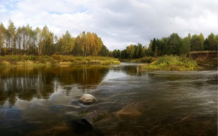River flowing through autumn forest with reflections