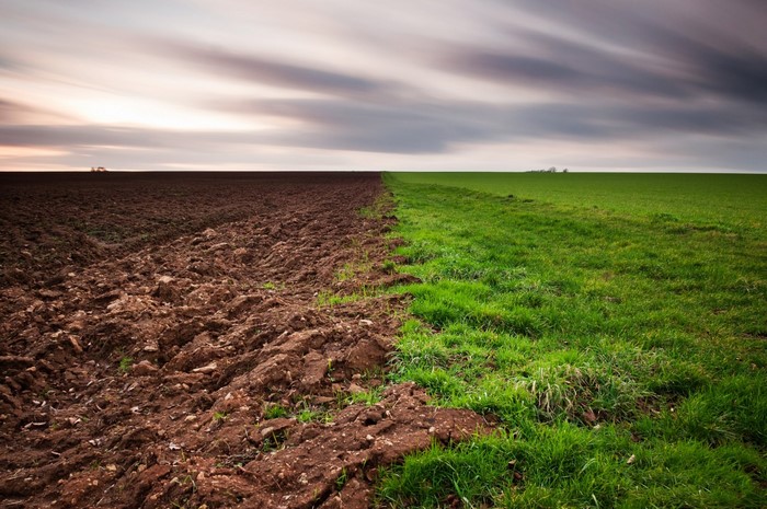 Plowed field next to a green field under a cloudy sky