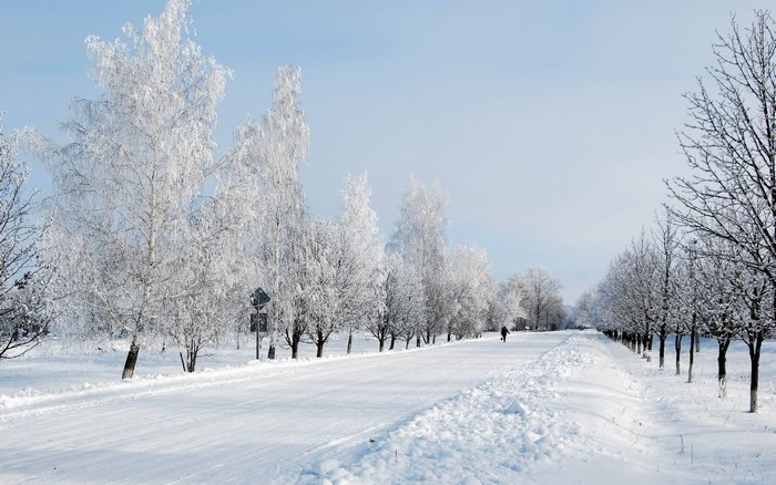 A person walks down a snow-covered road lined with frosted trees