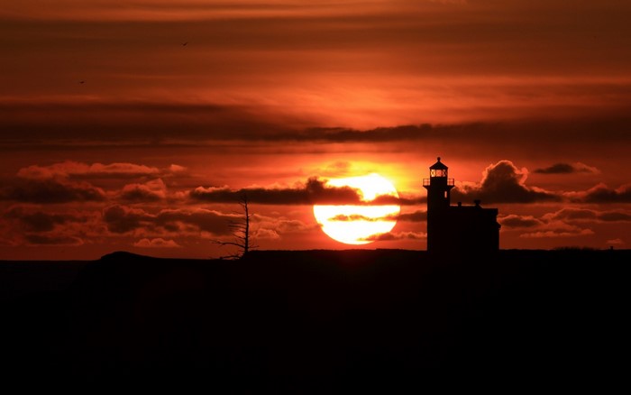 Silhouette of a lighthouse and a dead tree against a vibrant sunset.