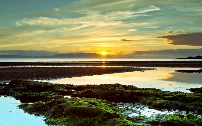 Sunset over the sea with mossy rocks on the shore
