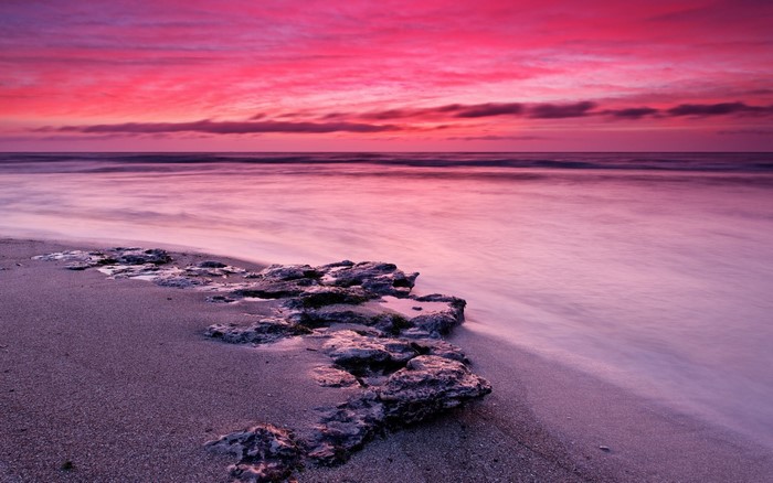 Pink sunset over the ocean with rocks on the shore
