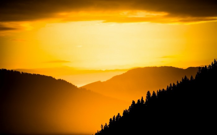 Silhouette of pine trees on mountains during sunset