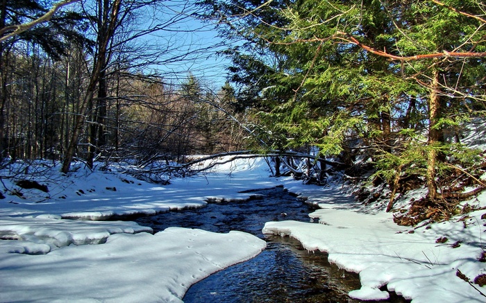 Winter stream flowing through a snowy forest with evergreen trees
