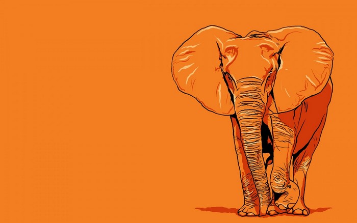 Orange elephant illustration