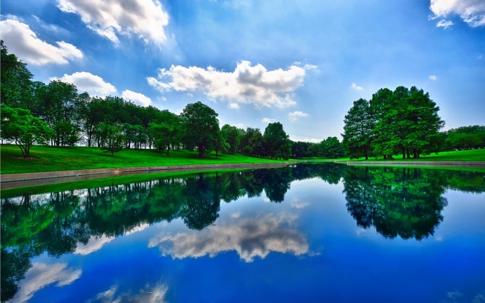 Green trees reflected in a calm lake under a blue sky
