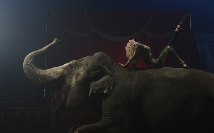 Circus performer on an elephant