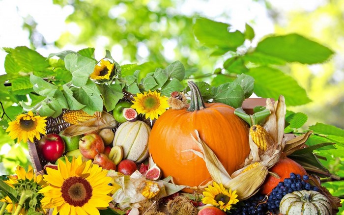 Autumn harvest of pumpkins, fruits, and sunflowers