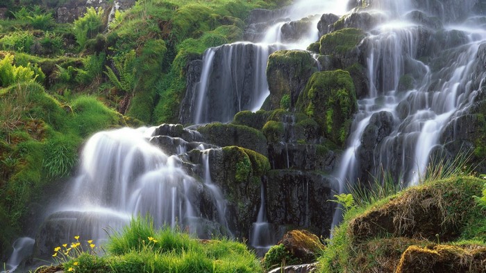 Waterfall cascading over mossy rocks in a forest