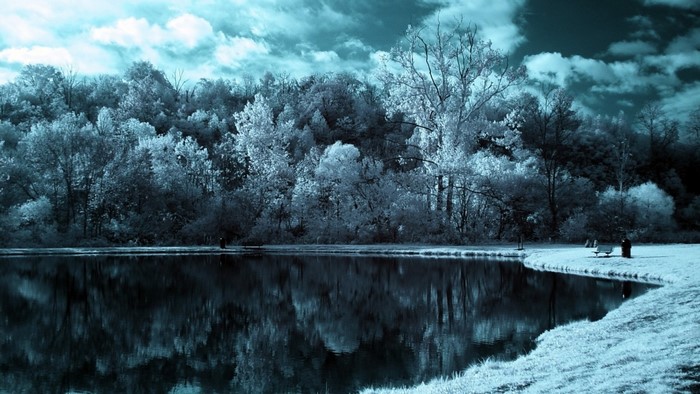 Monochrome forest reflected in a lake under a cloudy sky