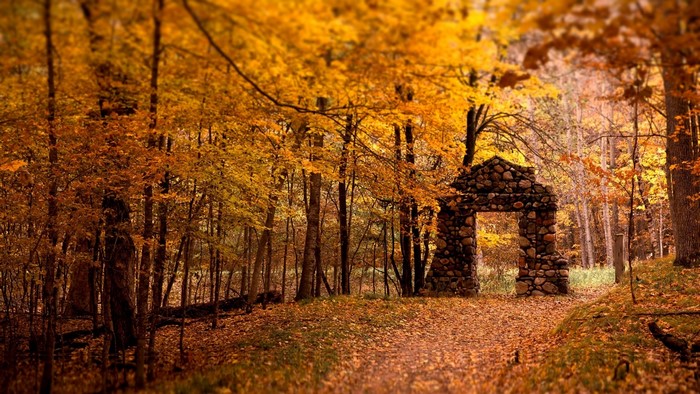 Stone archway in an autumn forest with fallen leaves