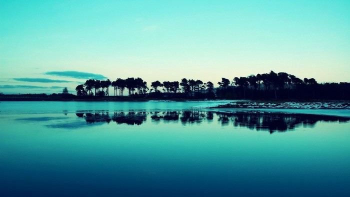 Trees reflected in a calm lake at dusk