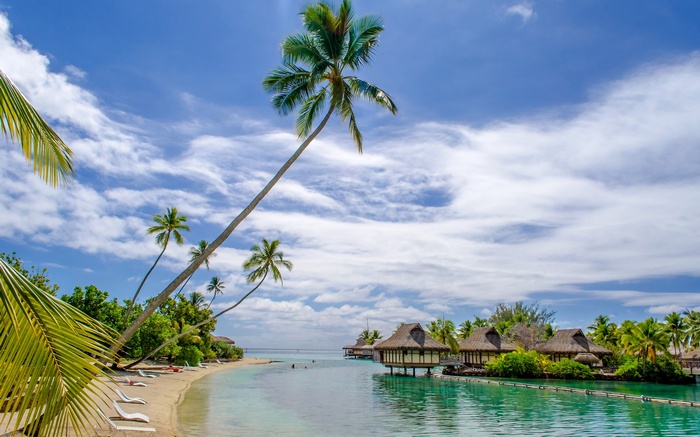 Overwater bungalows and palm trees on a tropical beach