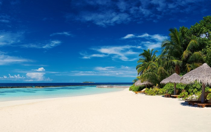 Tropical beach with palm trees and thatched umbrellas