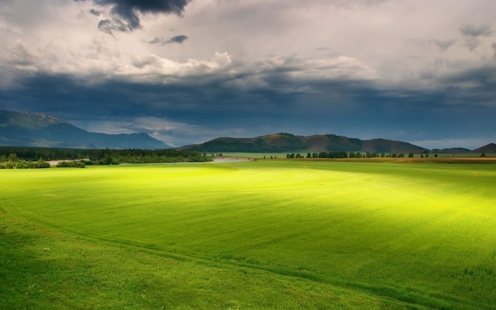 Green field with rolling hills and dramatic clouds