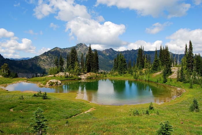 Mountain lake with evergreen trees and blue sky
