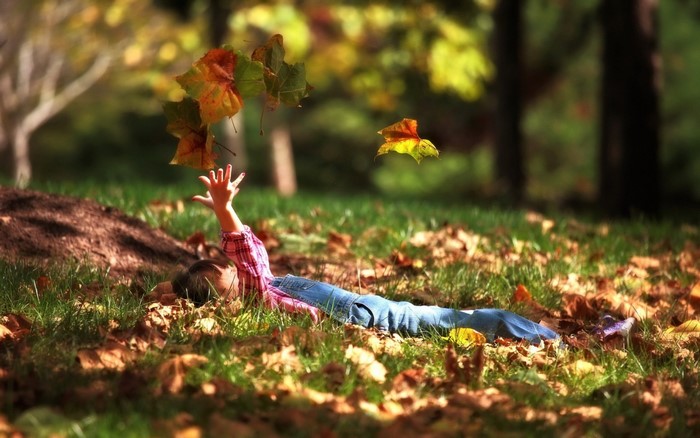 Child reaching for falling autumn leaves in a park