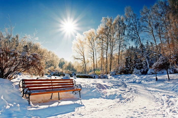 Winter park with a bench under bright sunlight