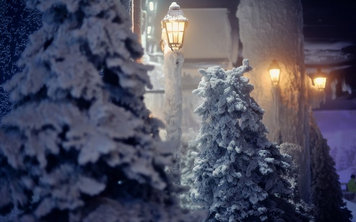 Snow-covered trees and street lamps at night