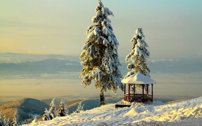 Snowy trees and gazebo on a mountain overlooking a valley